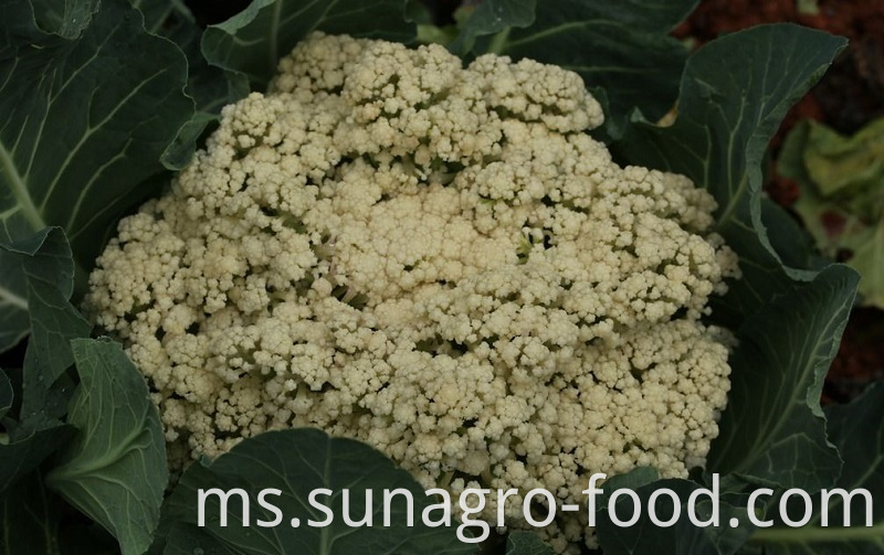 Frozen Organic Bulk Cauliflower